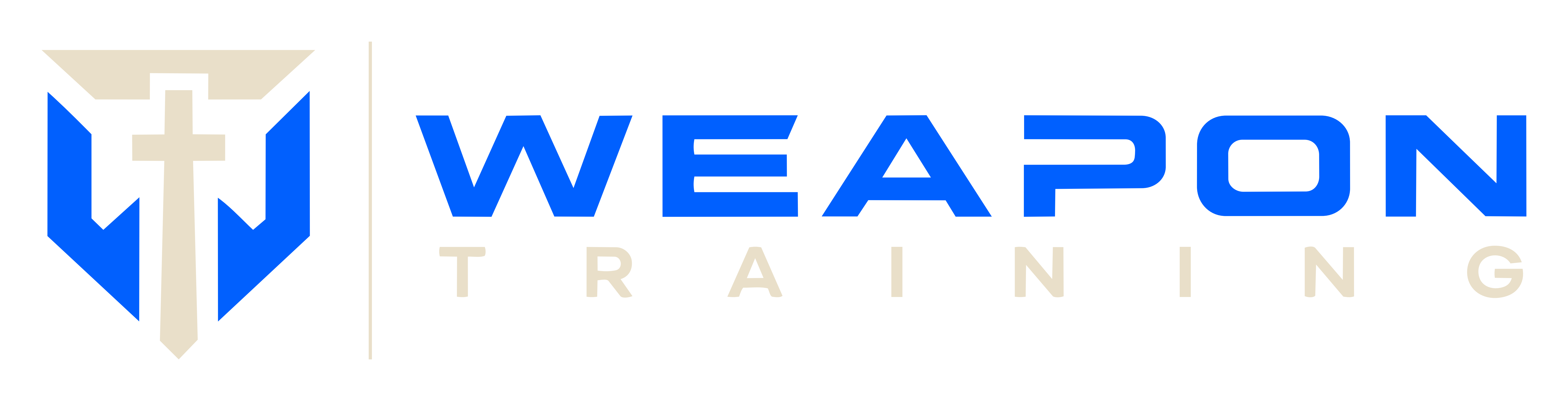 WEAPON TRAINING